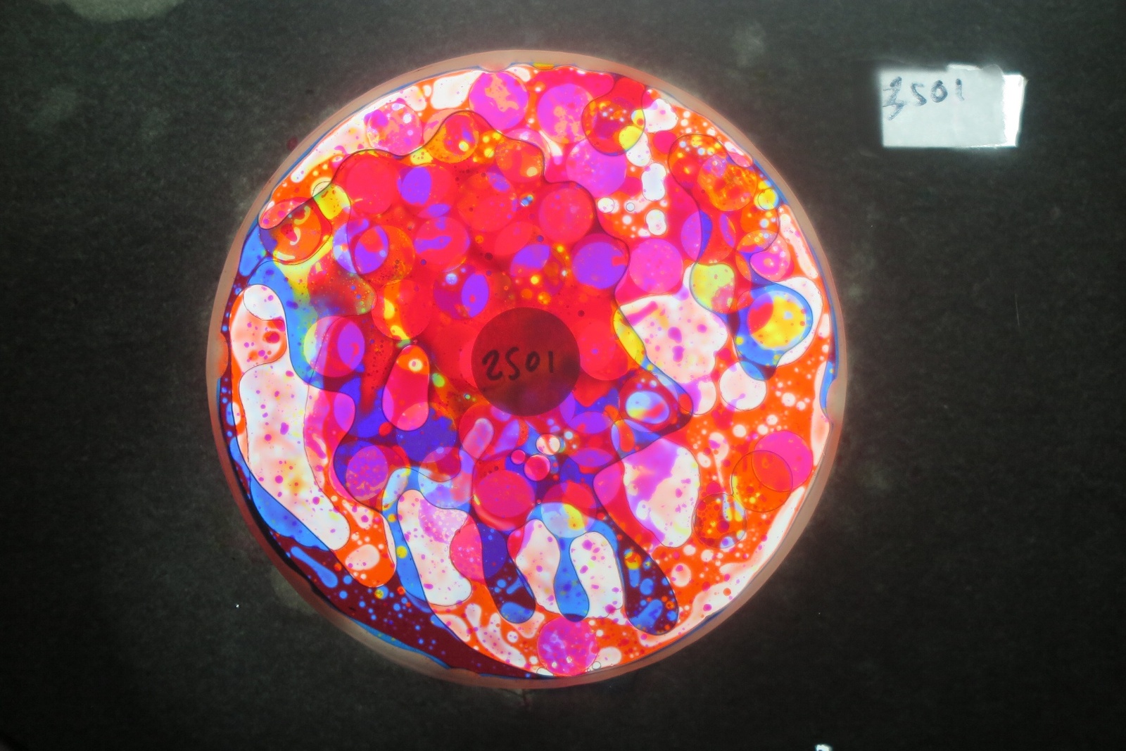 BV3501 bubble vision oil wheel